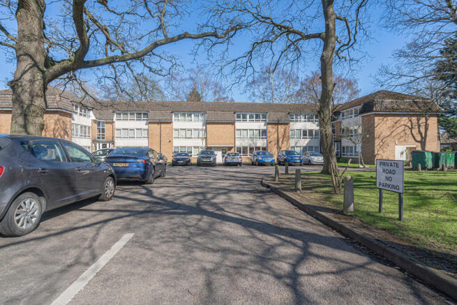 20260318-DSC08405...