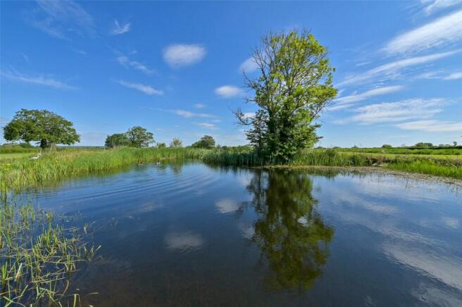 Pond