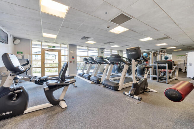 Gymnasium