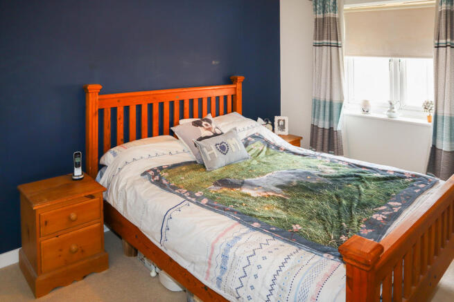 IMG5035_dp_11799050
