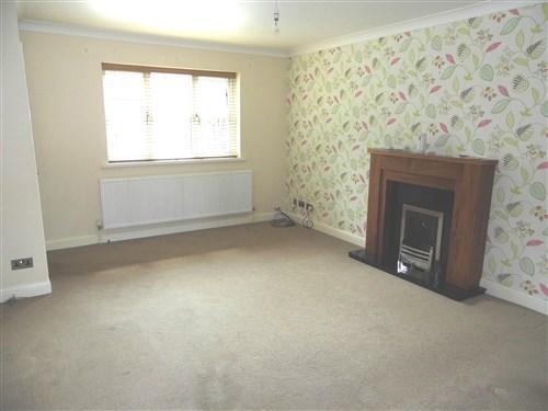 Photo7