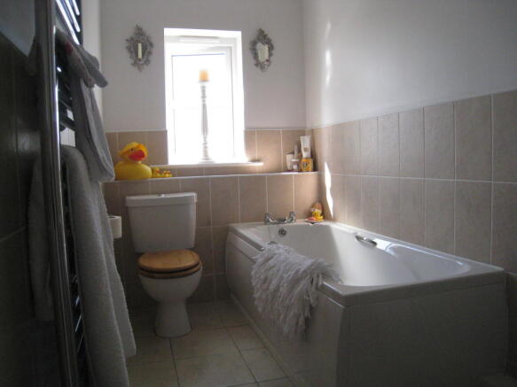 Photo 7