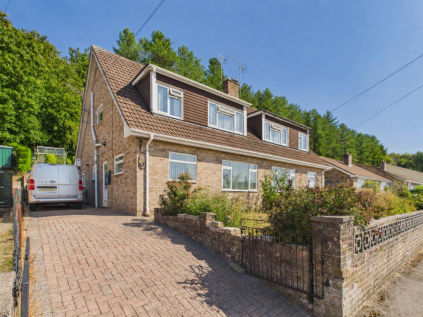 Forest View, Cinderford