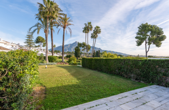 Terrace views