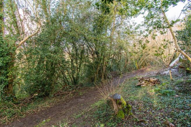 Woodland Rise, Rilla Mill (21 of 25).jpg