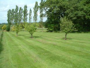Gardens