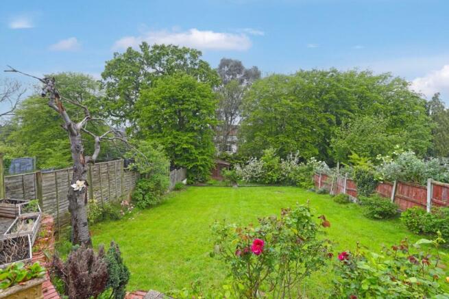 garden.jpg