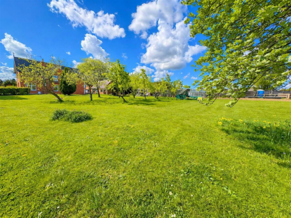 Sunny spring lawn