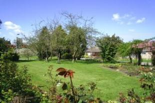 Front garden