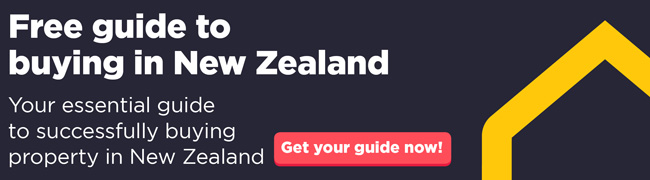 Downloand New Zealand Country Guide Today