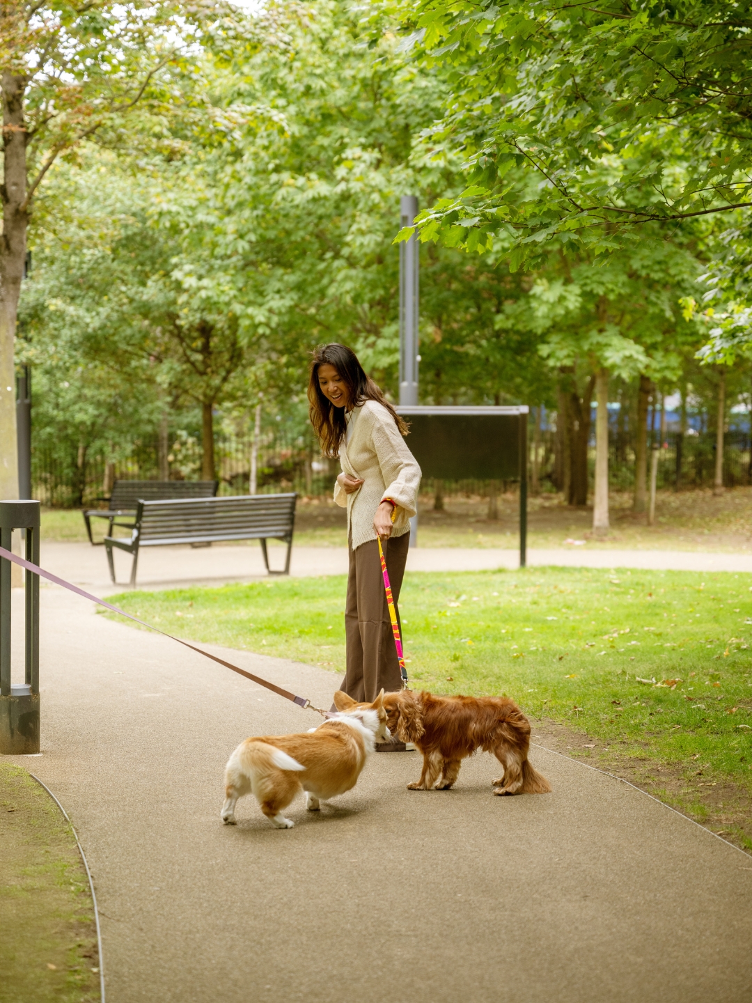 Pets welcome, no extra fee