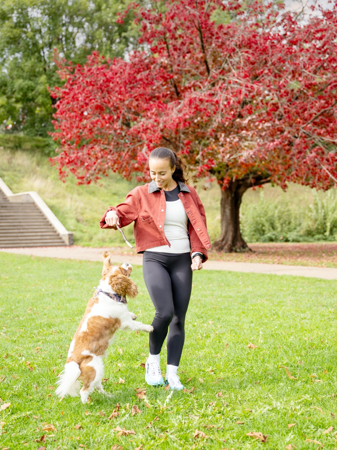 Pets welcome, no extra fee