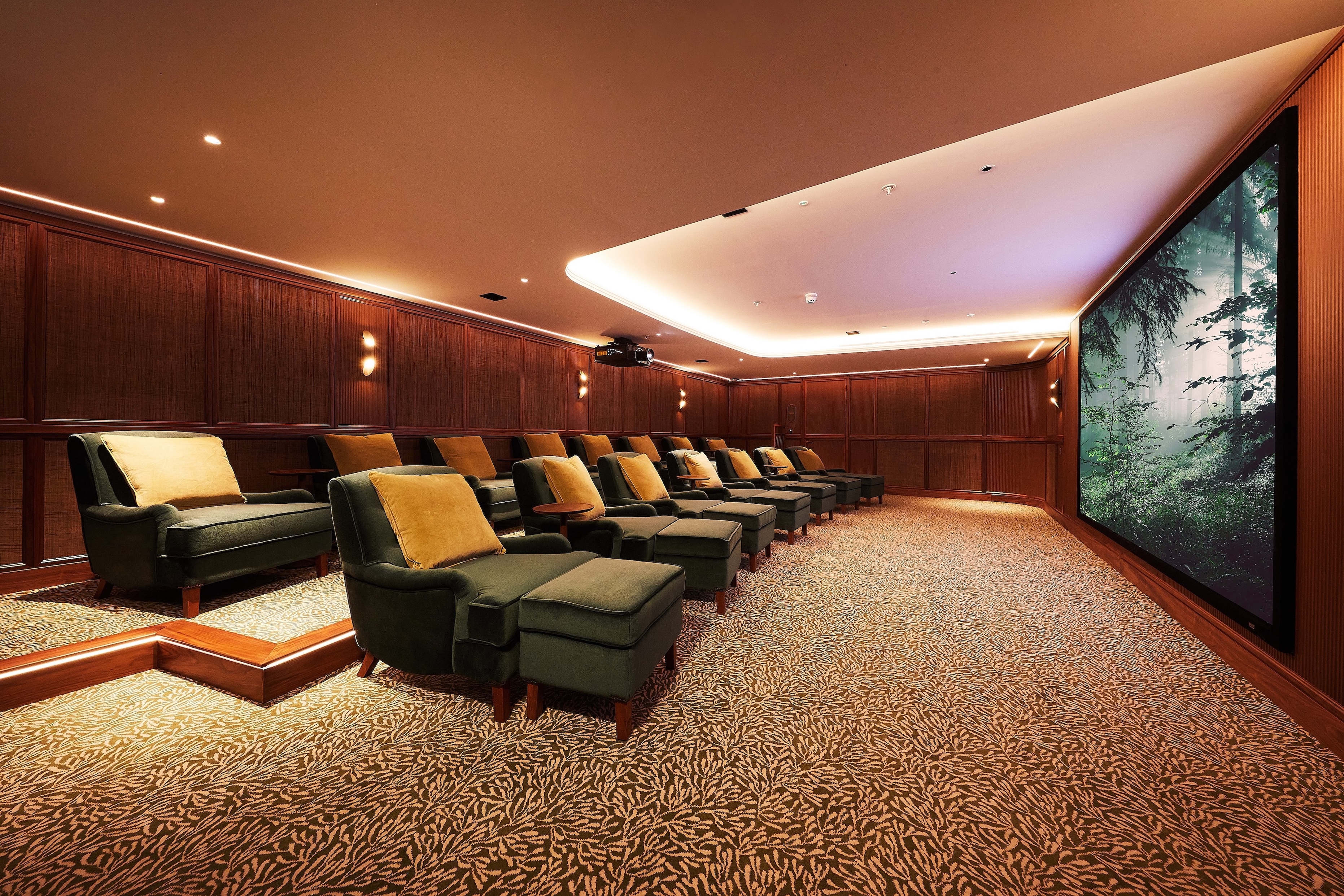 Cinema