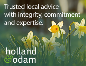 Get brand editions for holland & odam, Street