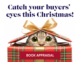 Get brand editions for CJ Hole, Redfield