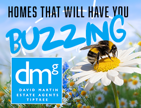 Get brand editions for David Martin Estate Agents, Tiptree