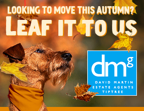 Get brand editions for David Martin Estate Agents, Tiptree