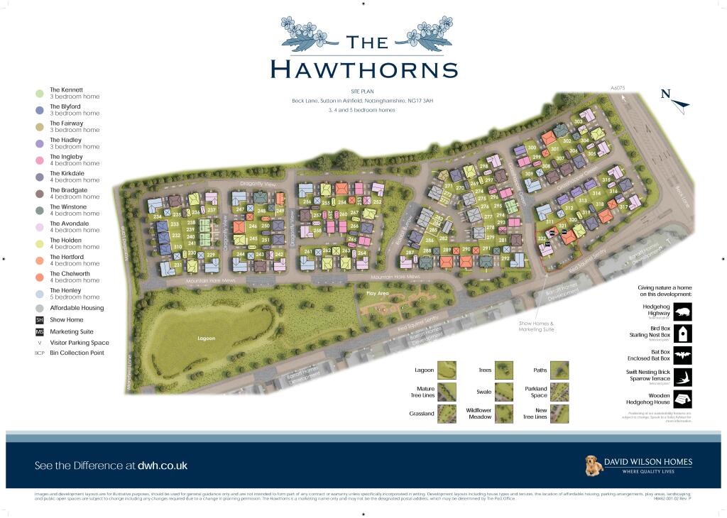 Site Plan
