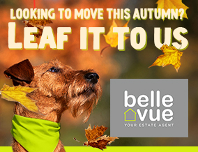 Get brand editions for Belle Vue Property Services, Southend-on-sea