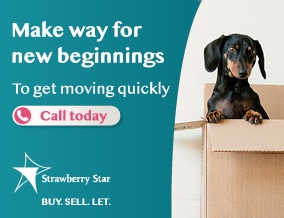 Get brand editions for Strawberry Star, SW8