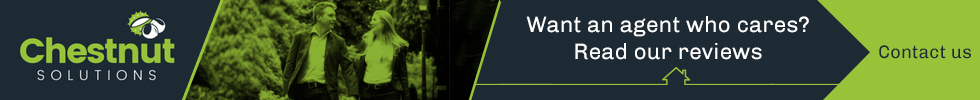 Get brand editions for Chestnut Solutions Property Specialists, York