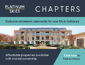 Get brand editions for Platinum Skies