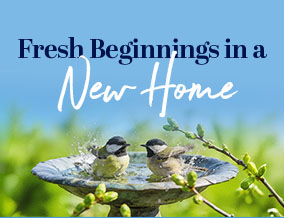 Get brand editions for M2 Estate Agents, Newport