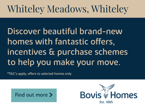 Get brand editions for Vistry Southern (Bovis)