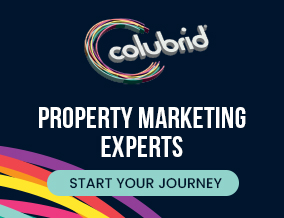 Get brand editions for Colubrid, Chelmsford