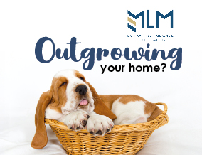 Get brand editions for Murray Lee Mckenzie, Belvedere