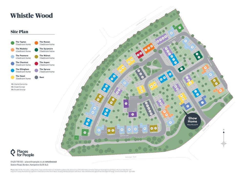 Site Plan