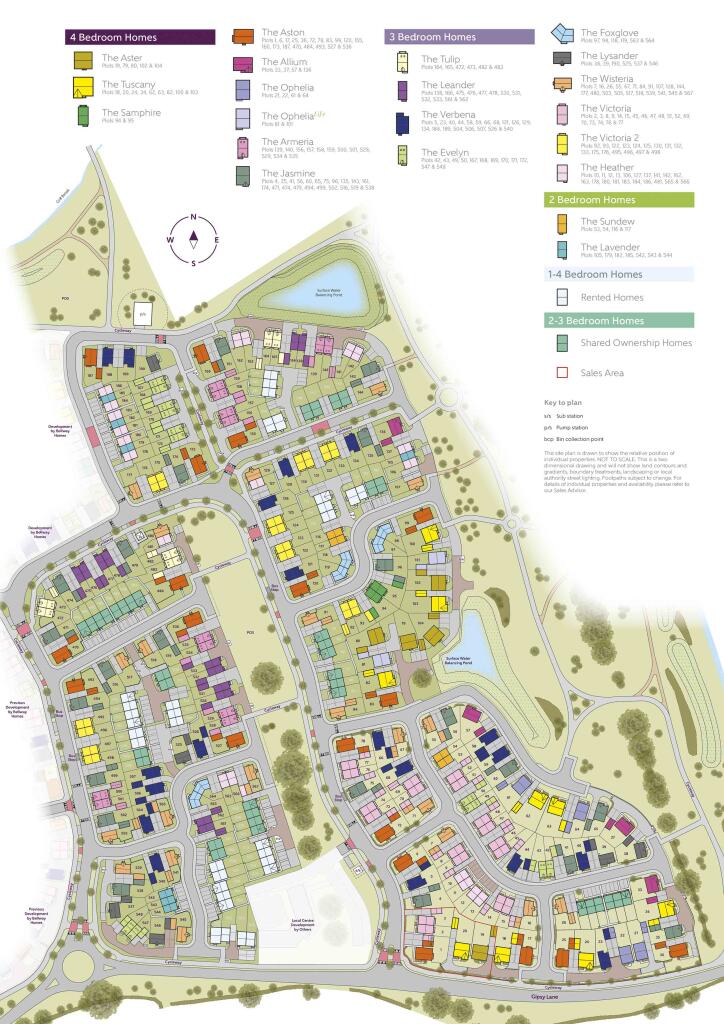 Site Plan