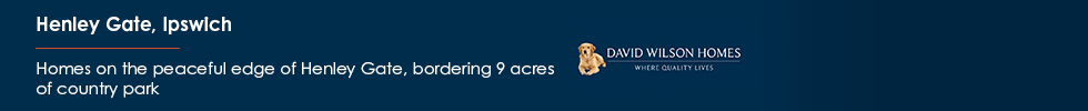 David Wilson Homes, Henley Gate