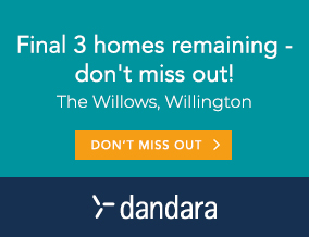 Get brand editions for Dandara Ltd