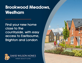 Get brand editions for David Wilson Southern Counties