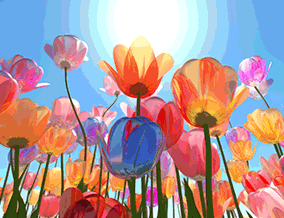 Get brand editions for Christopher Stokes, Cheshunt