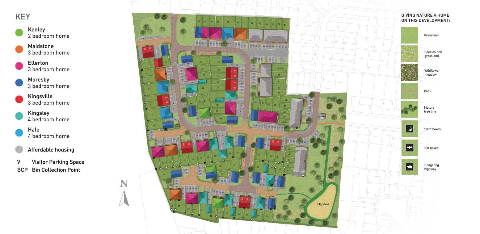 Site Plan