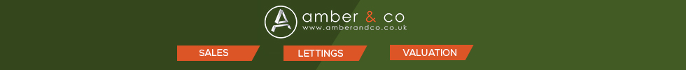 Get brand editions for AMBER & CO (MGMT), London