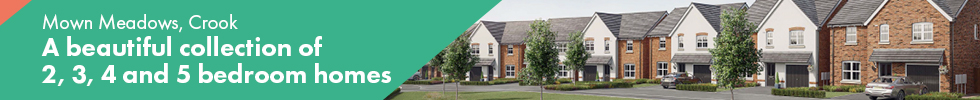 Get brand editions for Persimmon Homes Durham