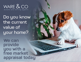 Get brand editions for Ware & Co, Taunton