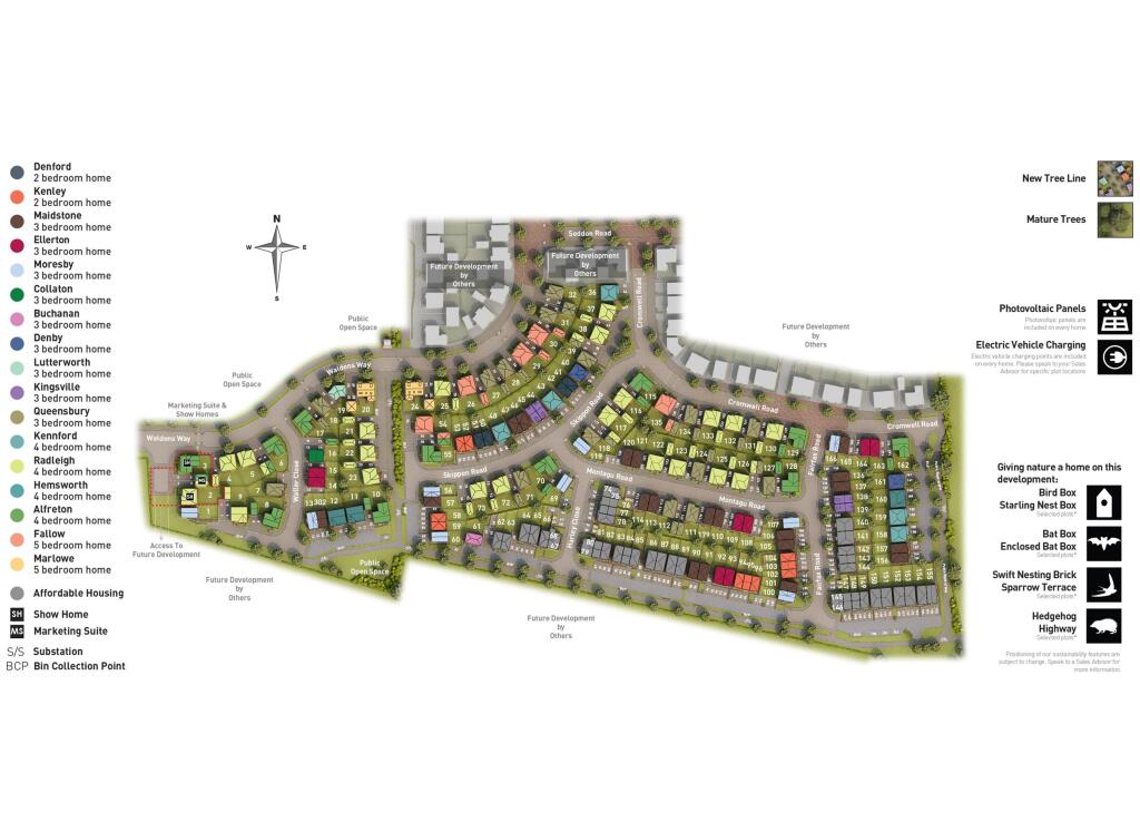 Site Plan