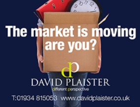 Get brand editions for David Plaister Ltd, Cheddar
