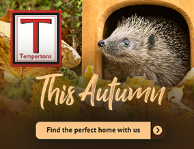 Get brand editions for Tempertons, Newport