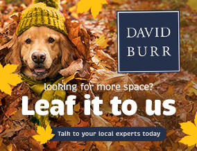 Get brand editions for David Burr Estate Agents, Leavenheath