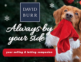 Get brand editions for David Burr Estate Agents, Leavenheath