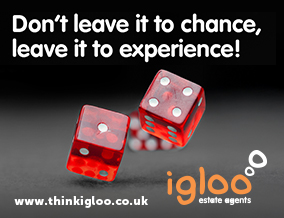 Get brand editions for Igloo, Hamilton