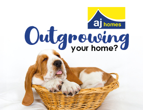 Get brand editions for A J Homes, Winterbourne