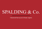 Spalding & Co logo