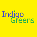 Indigo Greens, York Estate Agent Logo