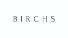 Birch's, Waterbeach